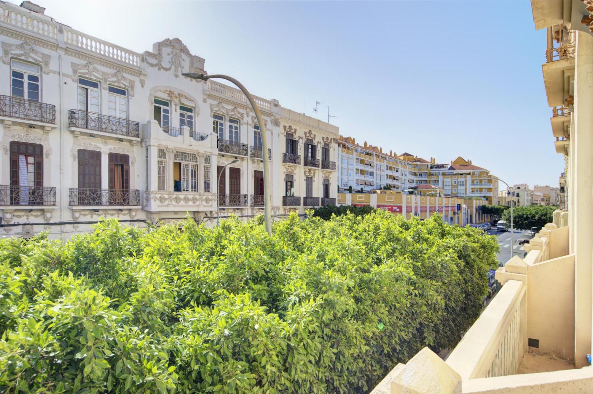 Triana Cactus *